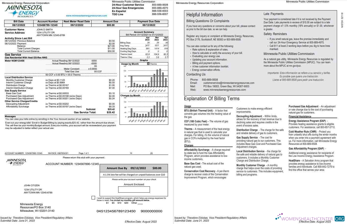 download download USA Minnesota Energy utility bill, Word and PDF template, 2 pages PDF template PDF template
